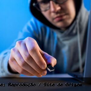 Ibama emite alerta sobre falsos sites de concurso em novo golpe virtual