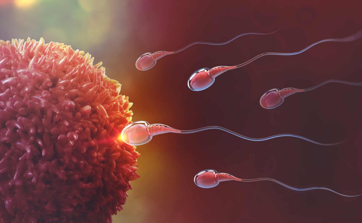 Anticoncepcional masculino: cientistas descobrem como “pausar” fertilidade