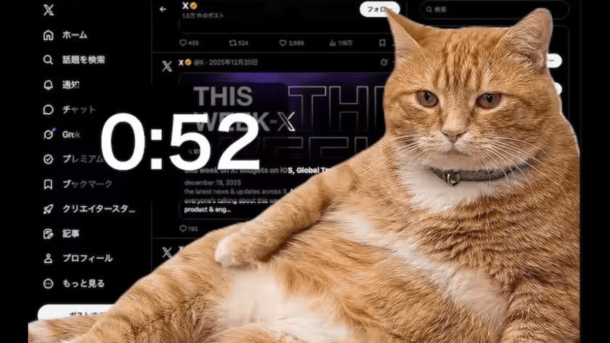 Gato gigante e gordinho pode travar seu monitor? Conheça o Cat Gatekeeper