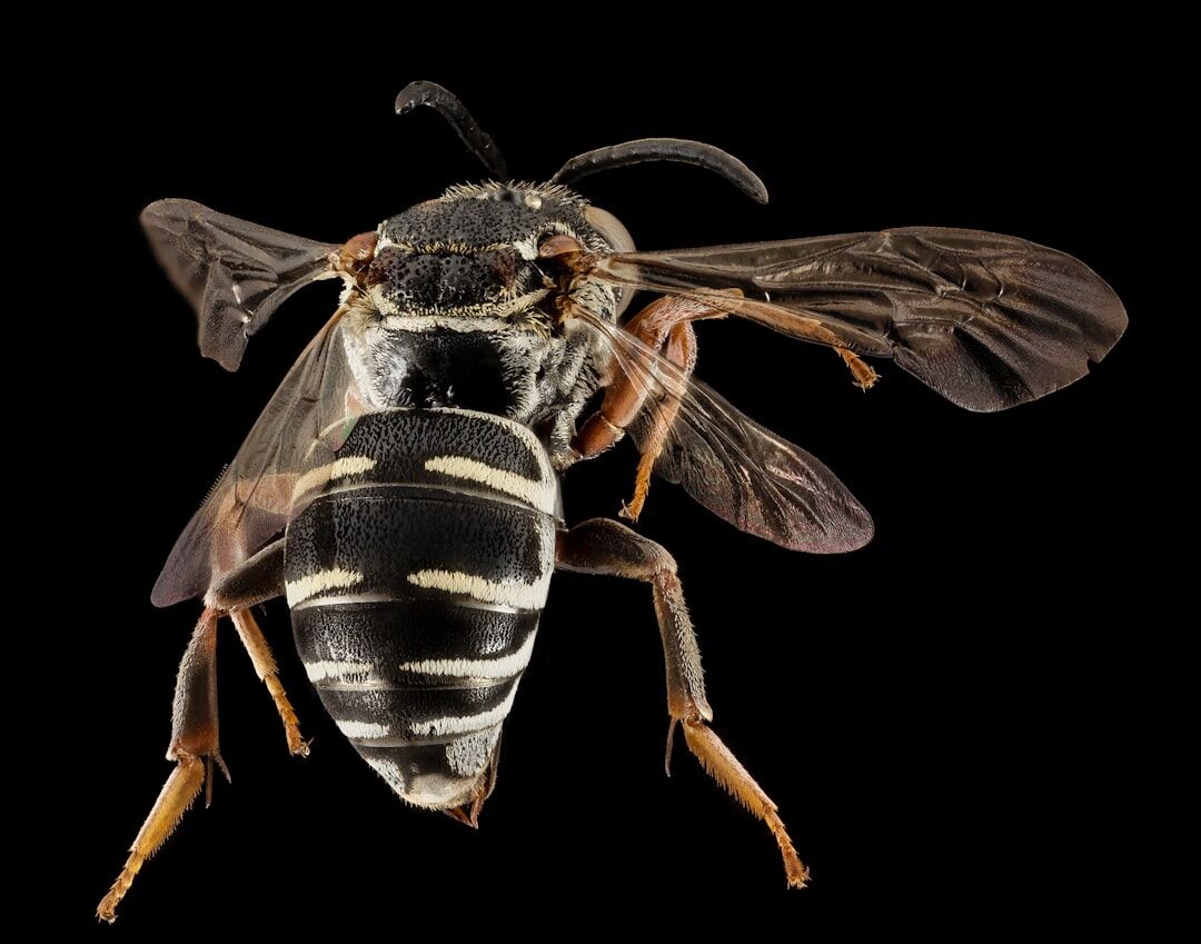 Ibovespa recua após série de altas e recordes