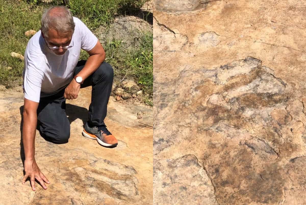 Maior pegada de dinossauro do Brasil é localizada na Paraíba