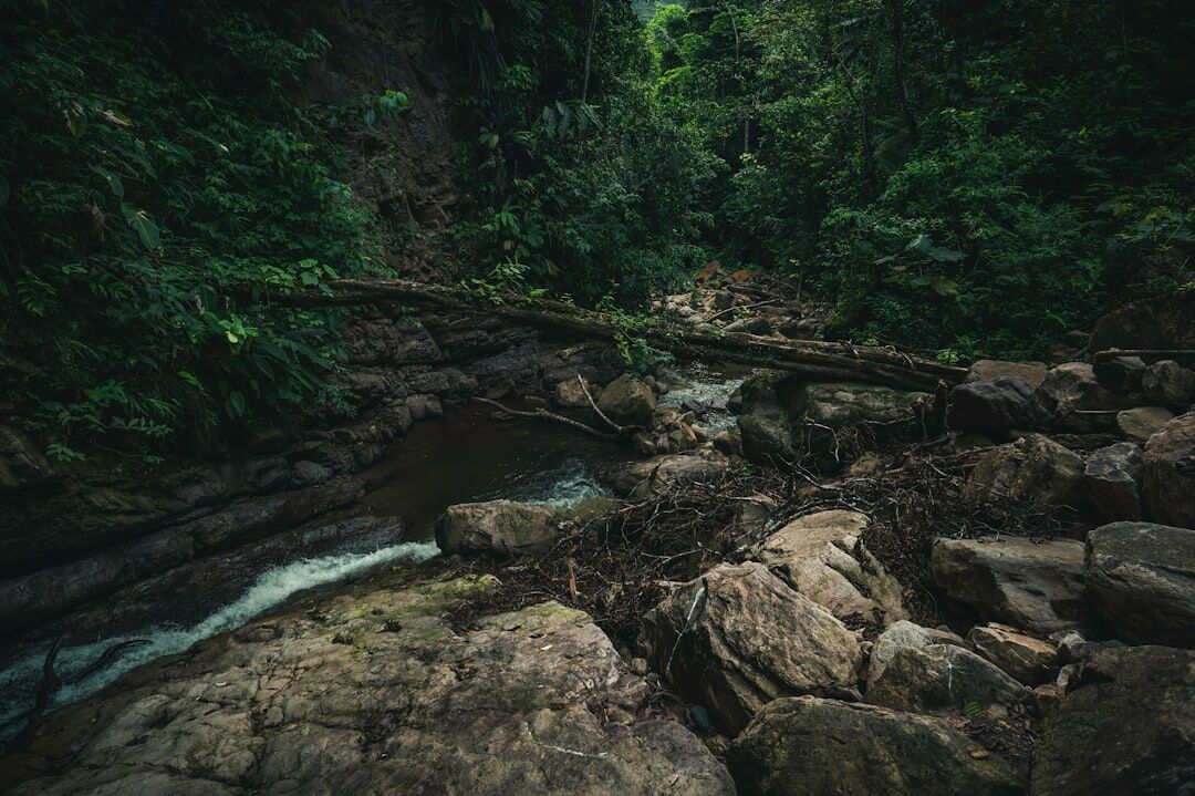 Amazon compra empresa de conexão via satélite para brigar com Starlink, de Musk