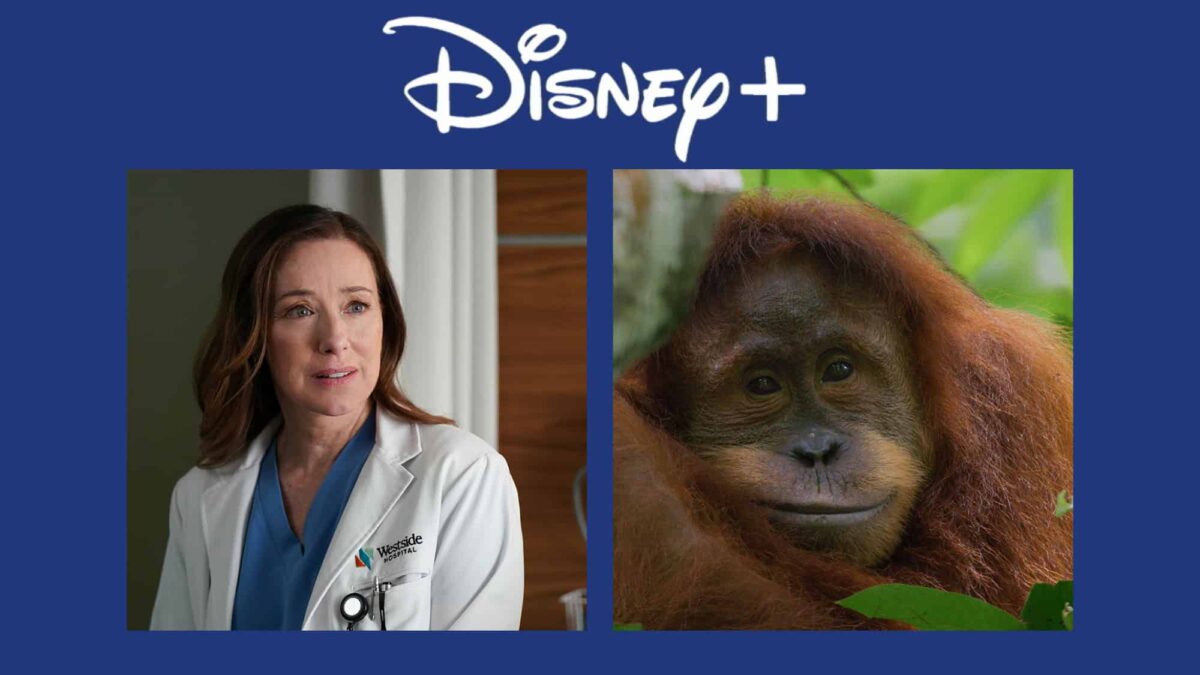 Disney+: lançamentos da semana (20 a 26 de abril)