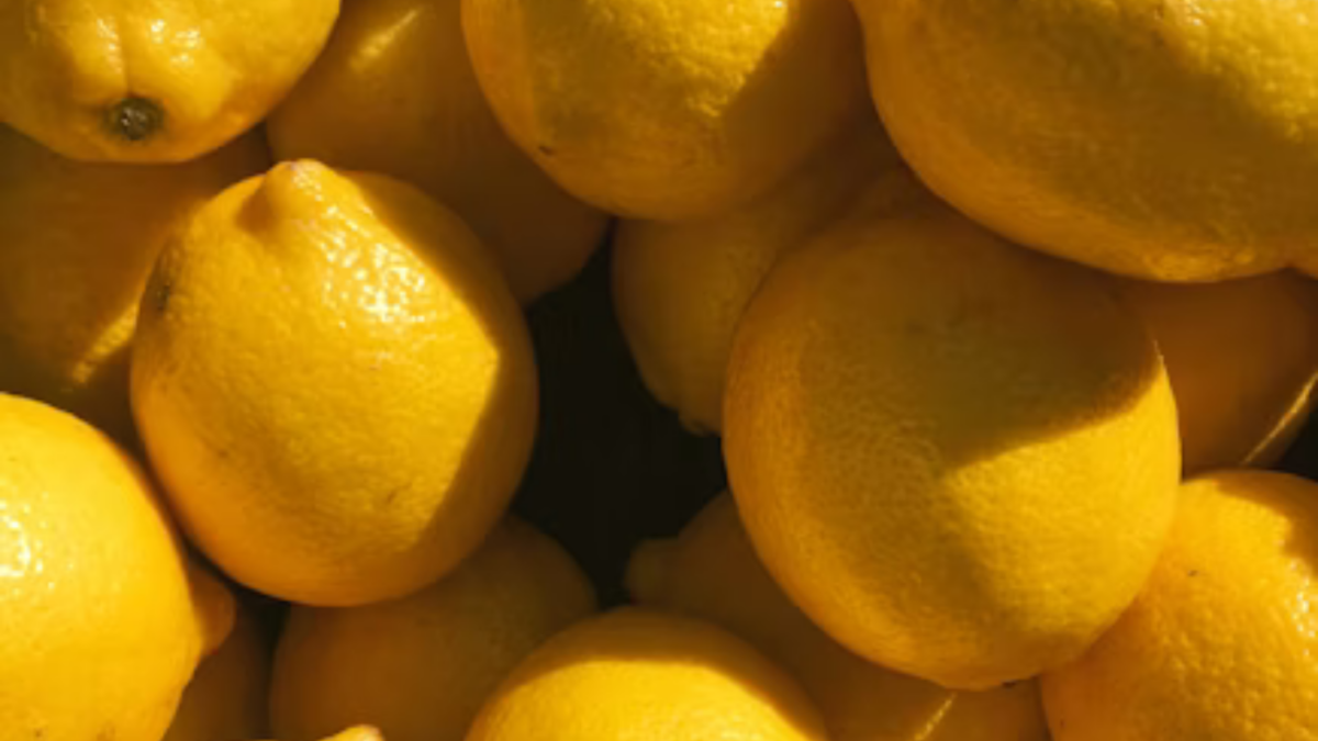 Guardar limão na geladeira pode estar estragando a fruta: especialistas apontam o melhor lugar da casa para conservar sabor e suculência