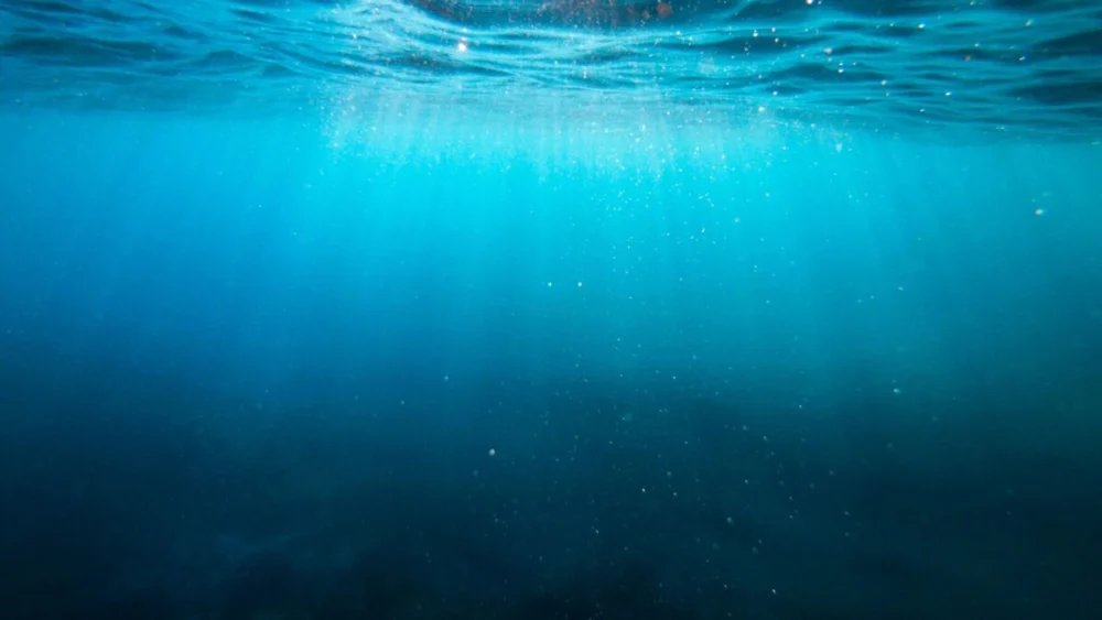 A misteriosa região do oceano que está esfriando enquanto o planeta aquece intriga cientistas