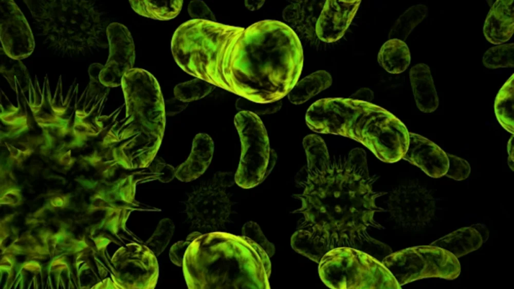 Cientistas descobriram que nossa origem pode ser ainda mais complexa do que imaginávamos: bactérias e vírus teriam colaborado para criar as primeiras células complexas