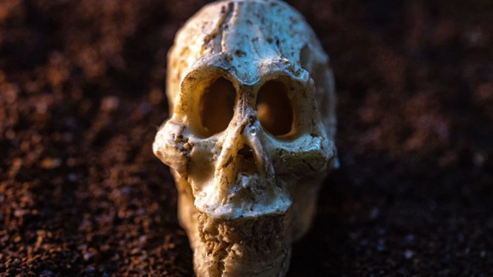 Cientistas encontraram 20 hominíneos em uma caverna mas um detalhe nos esqueletos abriu um mistério ainda maior
