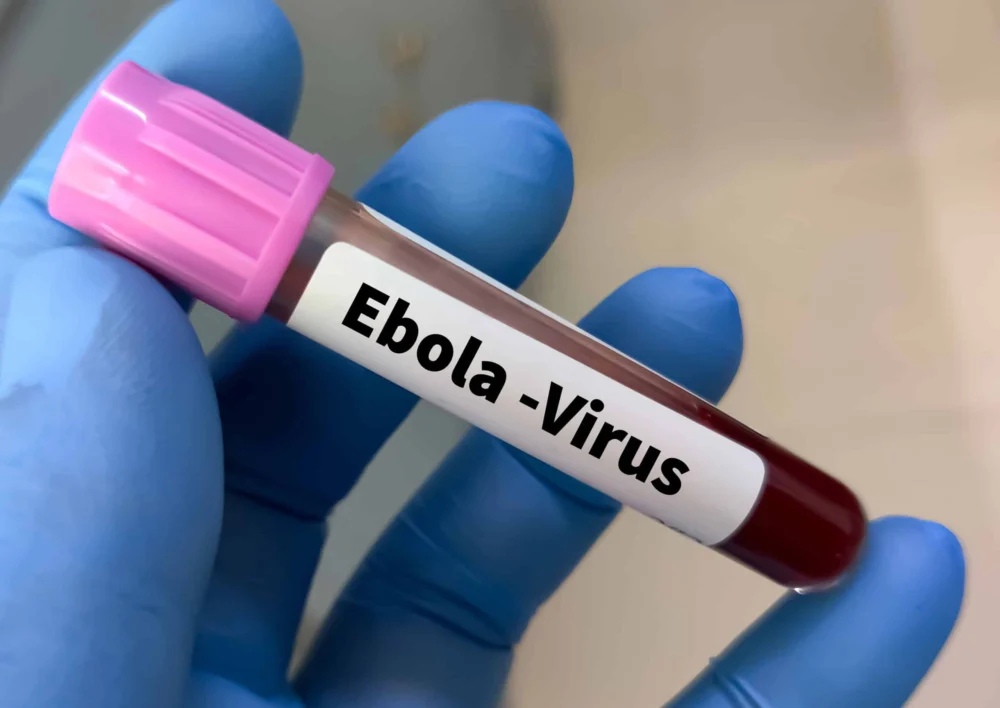 Da floresta ao smartphone: a conexão entre Ebola e mineração