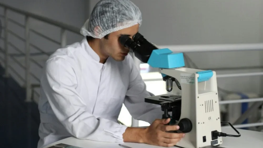 O segredo das plantas ajudou a desenvolver uma tecnologia com enorme potencial energético
