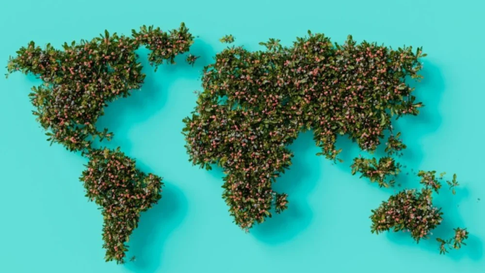 A população mundial está sendo calculada corretamente? Um novo estudo levanta dúvidas importantes