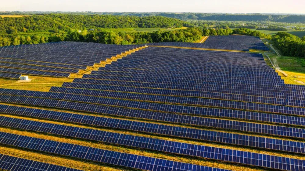 Cientistas descobriram um possível efeito das fazendas solares que ninguém esperava