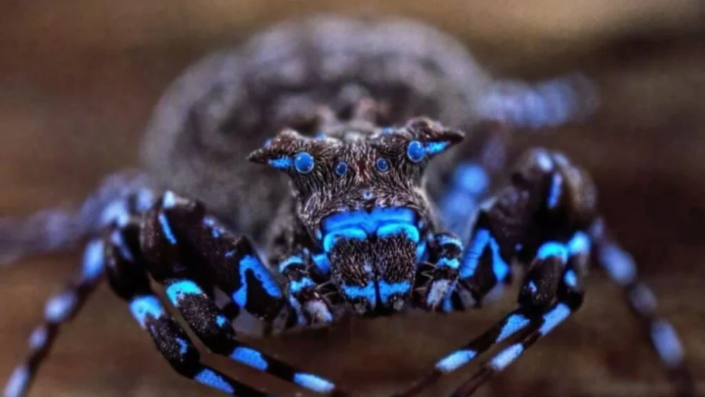 Um dos lugares menos explorados da Terra acaba de entregar uma surpresa extraordinária