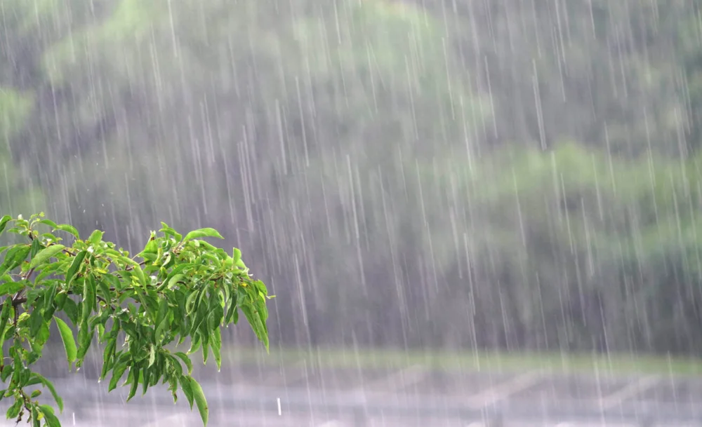 Alerta vermelho: chuva pode passar de 100 mm no Rio Grande do Sul