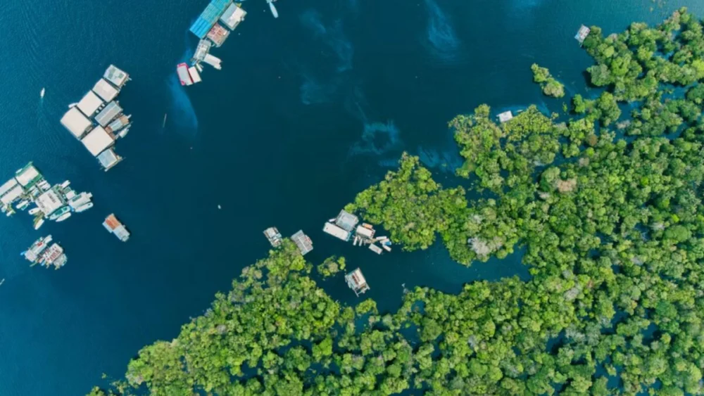 Brasil aposta em tecnologia forense para rastrear ouro ilegal e proteger a Amazônia
