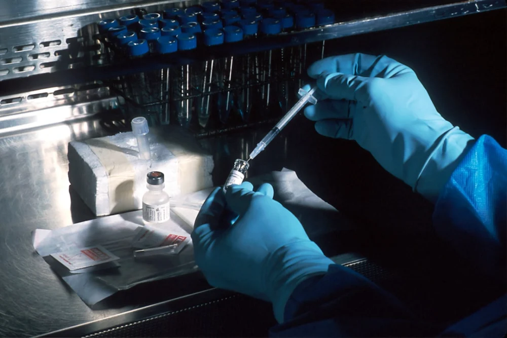Cientistas criam célula sintética que cresce e se reproduz: 'É só o começo'