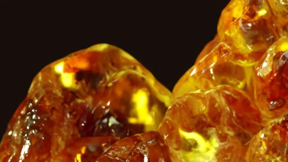 Cientistas encontram o âmbar mais antigo da Terra e ele existia muito antes dos dinossauros