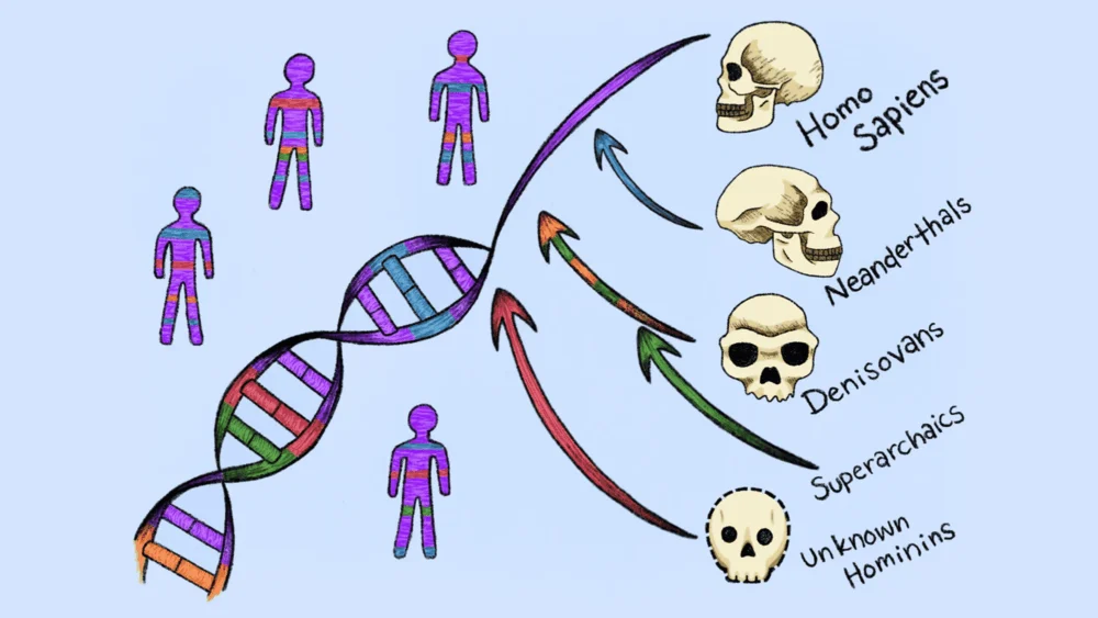 Cientistas identificam linhagens “fantasma” que deixaram DNA no genoma humano