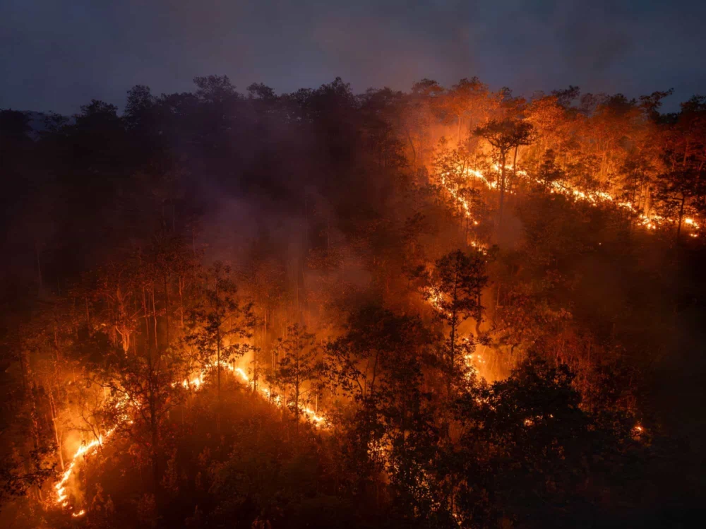 El Niño acende alerta: Brasil está preparado para enfrentar outra temporada de queimadas?