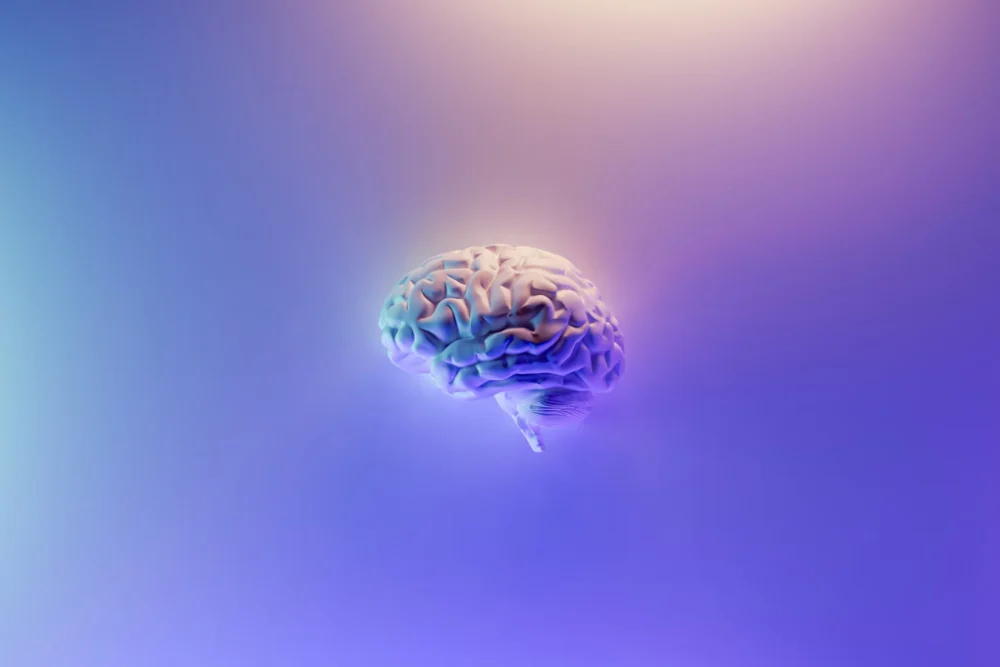 Estudo revela como três substâncias químicas do cérebro controlam o sono, a atenção e a consciência