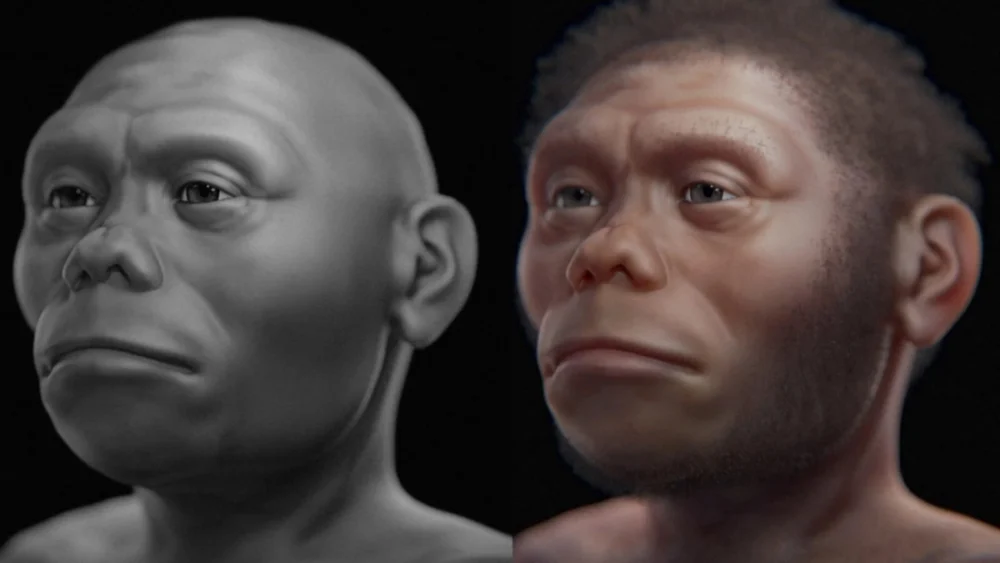Os “hobbits” da Indonésia talvez não caçassem grandes animais — estudo sugere que eles roubavam alimento dos dragões-de-komodo