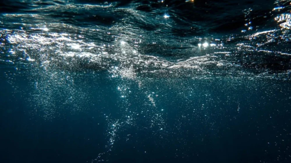 Os oceanos da Terra estão perdendo oxigênio rapidamente — e isso pode desestabilizar o planeta, alertam cientistas