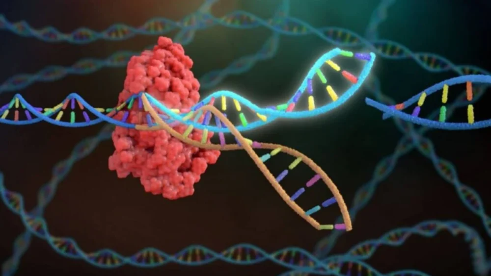 Primeira terapia com CRISPR aprovada nos EUA começa a mostrar resultados que impressionam médicos