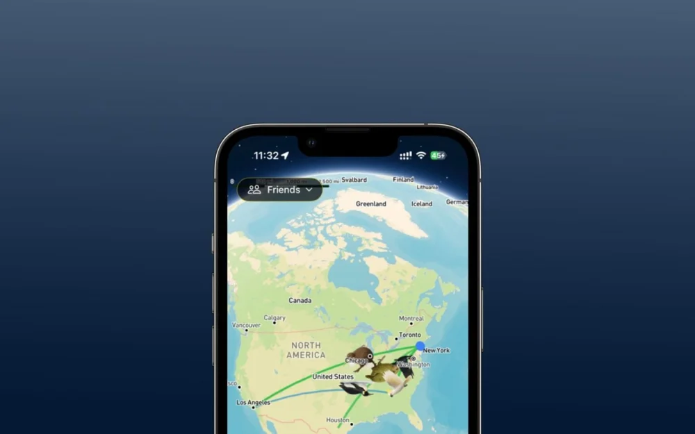 Roost é um app de mensagens que simula o envio de cartas com pássaros