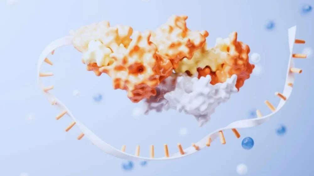 Um avanço com RNA pode transformar o estudo sobre os primeiros seres vivos