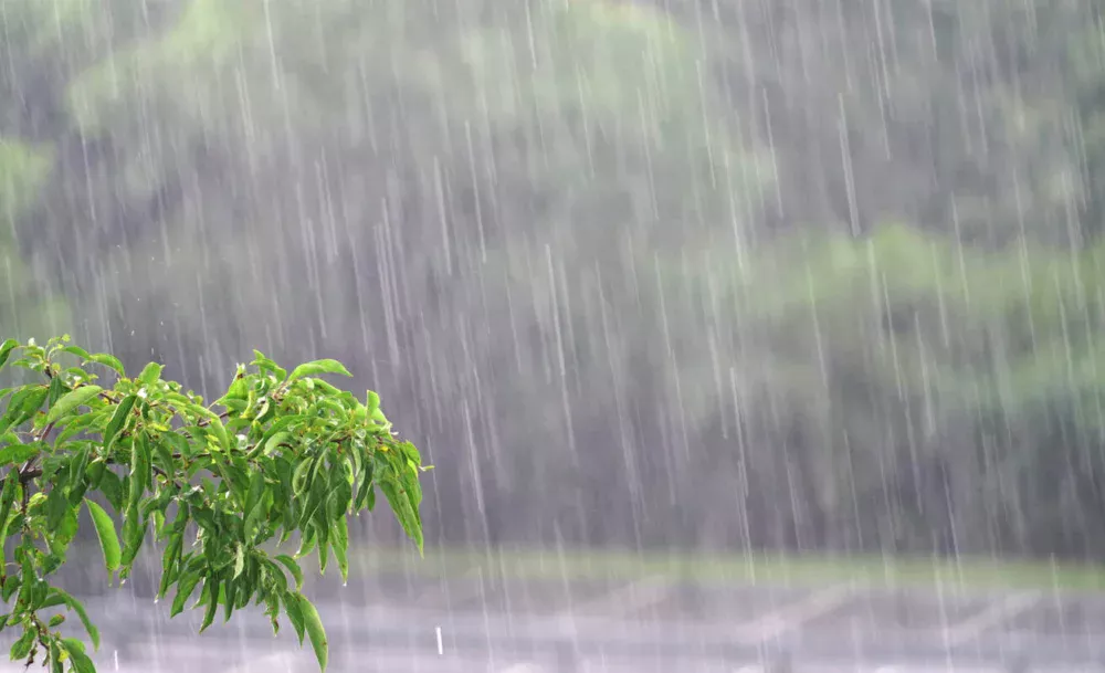 Alerta vermelho: chuva pode passar de 100 mm no Rio Grande do Sul
