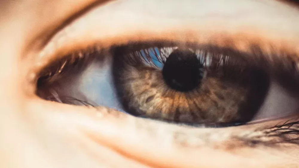 Algumas pessoas conseguem enxergar mais cores do que as outras; a ciência explica por quê