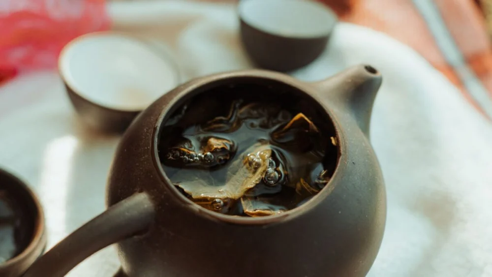 Caldo de algas viralizou nas redes, mas será que ele faz mesmo tudo o que prometem?