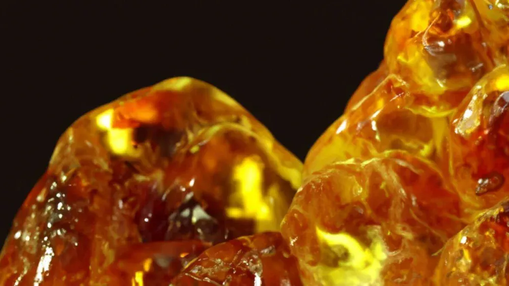 Cientistas encontram o âmbar mais antigo da Terra e ele existia muito antes dos dinossauros