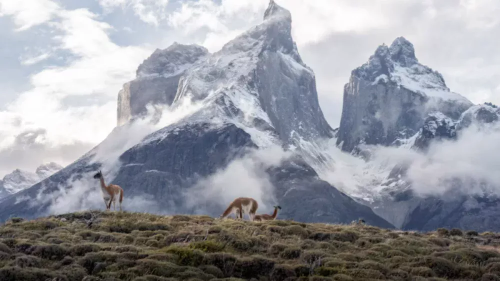 Descoberta nos Andes pode revelar novas pistas sobre a origem da vida na Terra