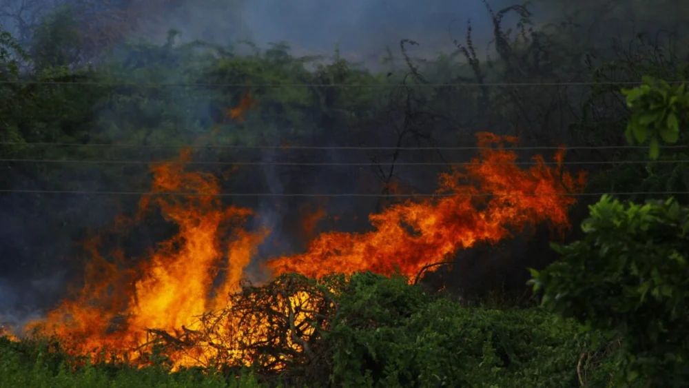 A Austrália encontrou na tecnologia e em um conhecimento milenar uma poderosa arma contra os incêndios