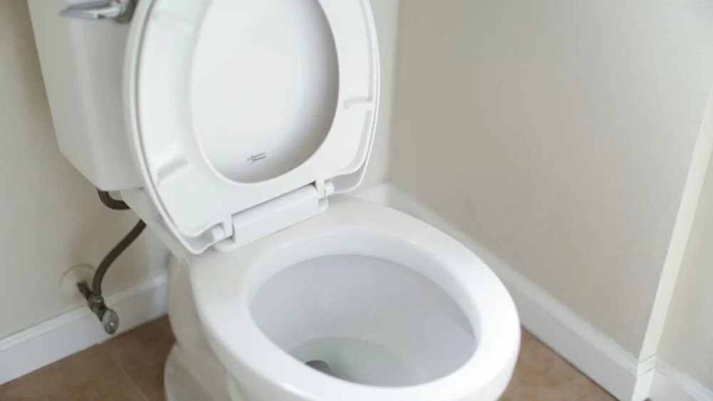 Adeus ao vaso sanitário tradicional? Uma nova tecnologia está transformando silenciosamente os banheiros
