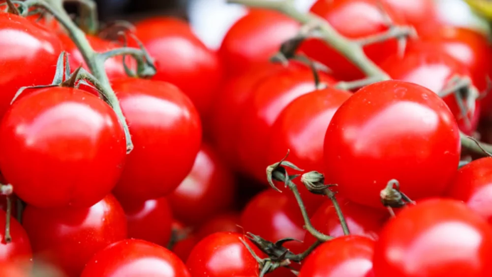 Cardiologista explica por que o tomate cozido pode ser ainda melhor para o coração