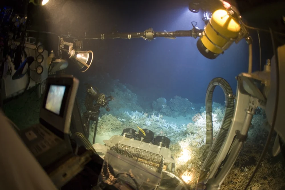 Como robôs inspirados em animais estão ajudando a explorar os oceanos