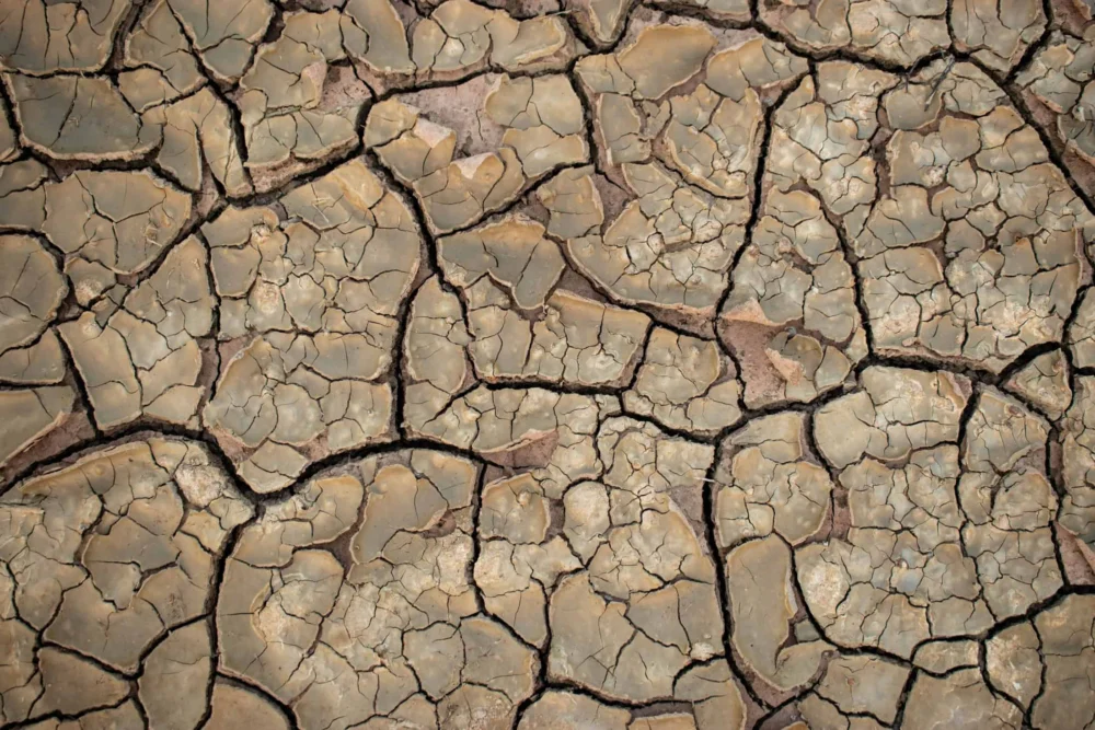 Desertificação do solo avança no Brasil e ameaça cerca de 39 milhões de pessoas