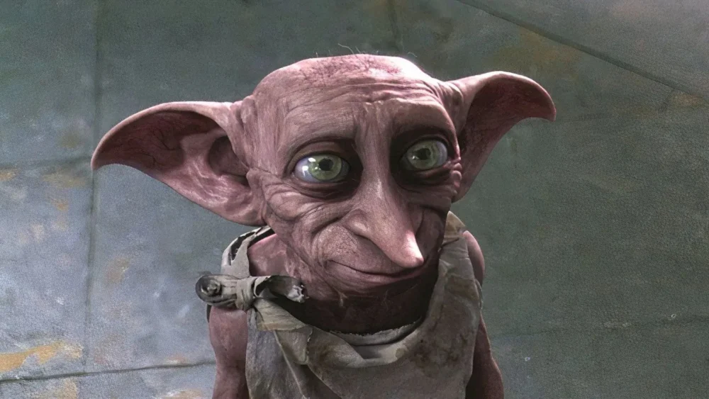 Fãs de Harry Potter obrigam empresa de energia a mudar de rota para preservar túmulo de Dobby