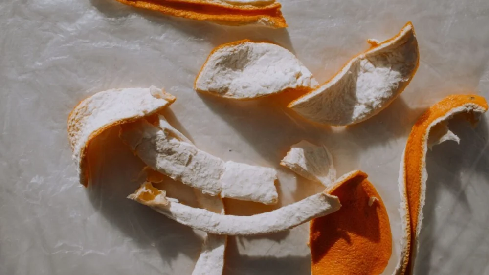 Jogaram 12 mil toneladas de cascas de laranja em um terreno e, 16 anos depois, encontraram algo difícil de reconhecer