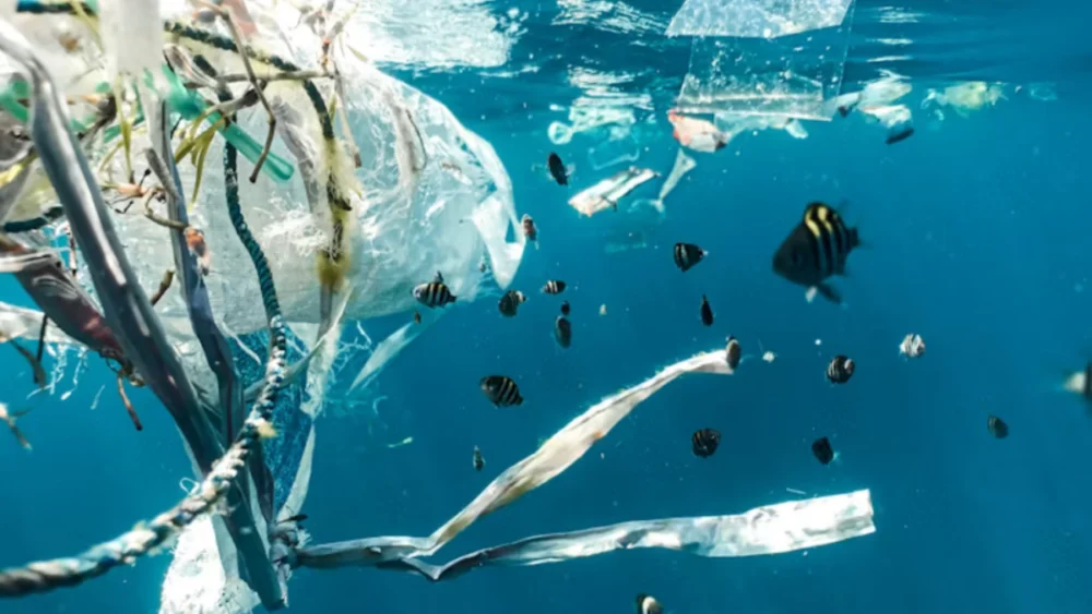 Não são apenas sacolas e canudos: a pesca domina o plástico na Grande Mancha do Pacífico