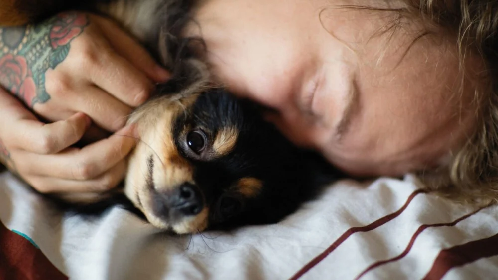 Seu cachorro percebe quando algo está errado com você? A ciência encontrou uma pista surpreendente