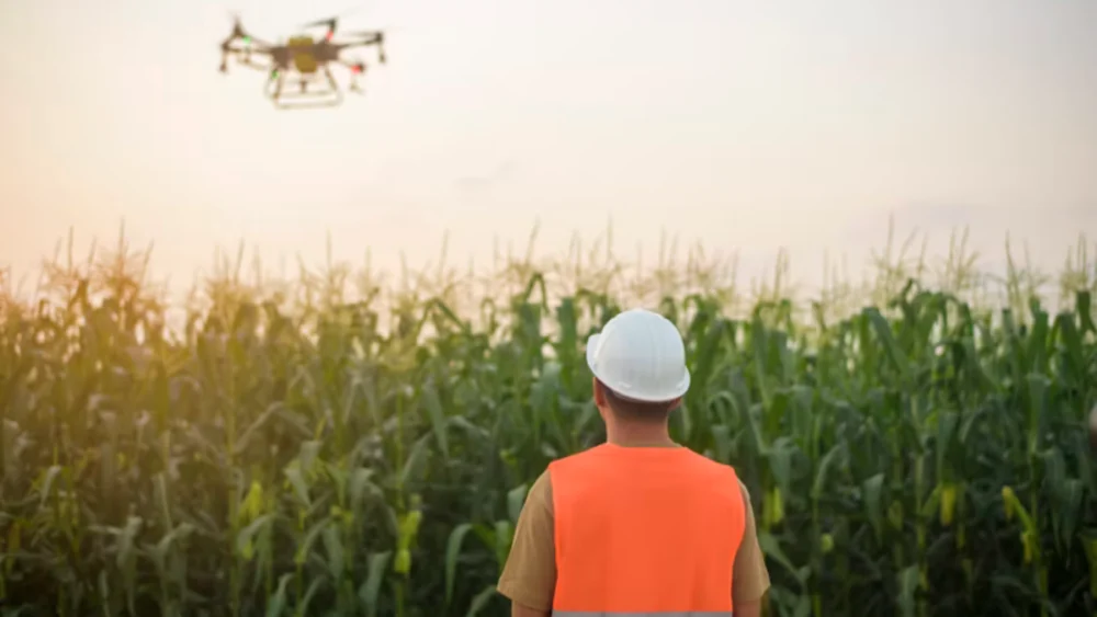 UE aposta em drones para reduzir o uso de pesticidas — mas cientistas alertam para riscos