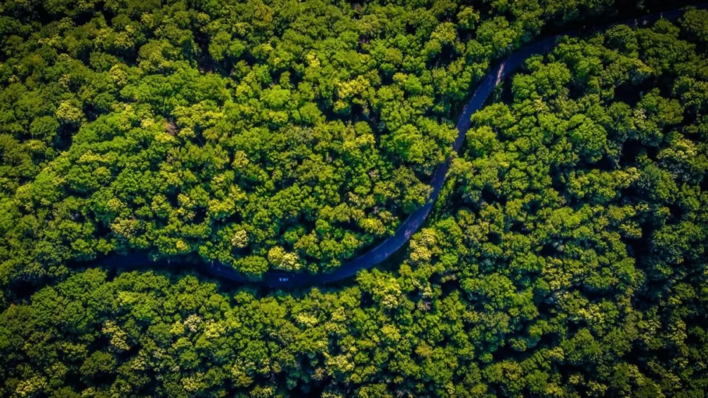 Uma civilização perdida sob a Amazônia surpreende cientistas: milhares de estruturas revelam um passado que ninguém imaginava