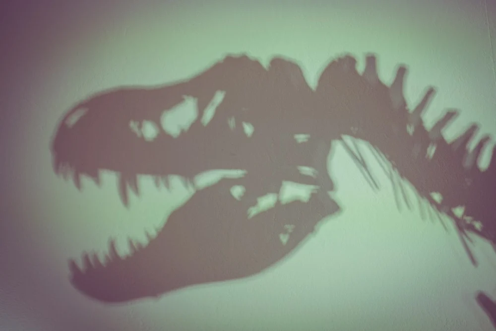 Estudo dos dentes diz que T. rex tinha sangue quente, semelhante a humanos