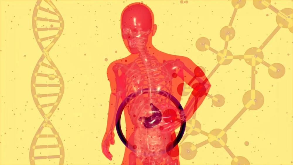 O que os cientistas encontraram ao comparar cérebros de 1997 e 2024 chama atenção