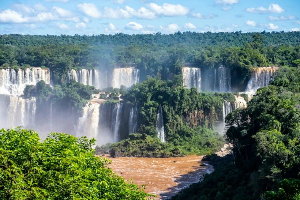A Amazônia está aquecendo, mas uma ameaça inesperada também põe seus insetos em risco