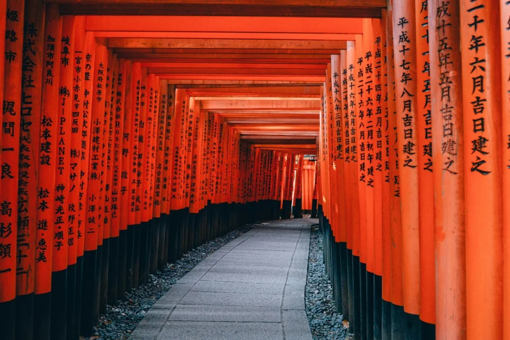 Caminhada japonesa: o método que coloca o ritmo no centro do exercício