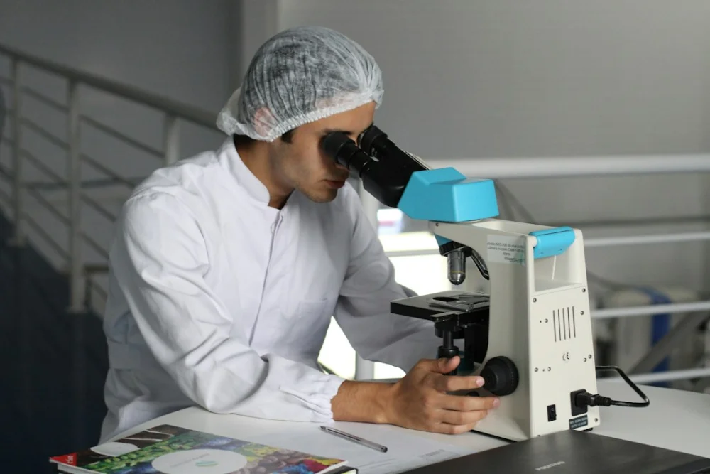 Cientistas descobrem que corais saudáveis podem salvar outros quase mortos em apenas cinco dias