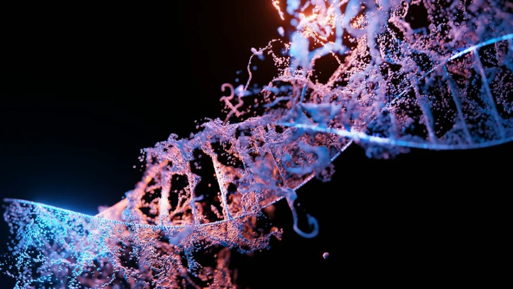 Cientistas investigaram o DNA de pacientes com anorexia e encontraram um padrão surpreendente